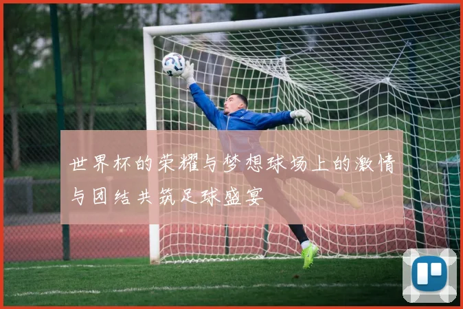 世界杯的荣耀与梦想球场上的激情与团结共筑足球盛宴